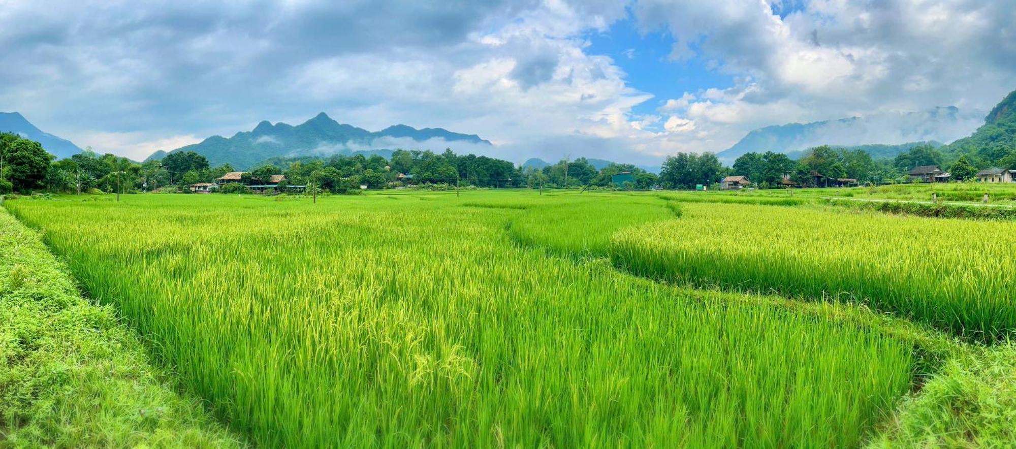 Mai Chau Sky Resort Exterior photo